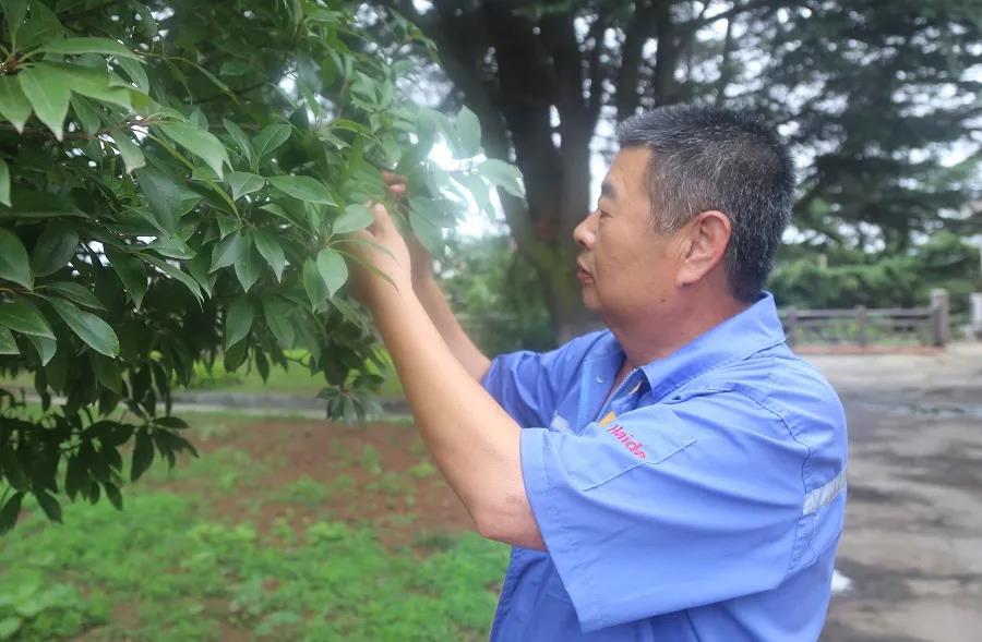 榜样 | 周志远:640万平方米的“绿色管家”